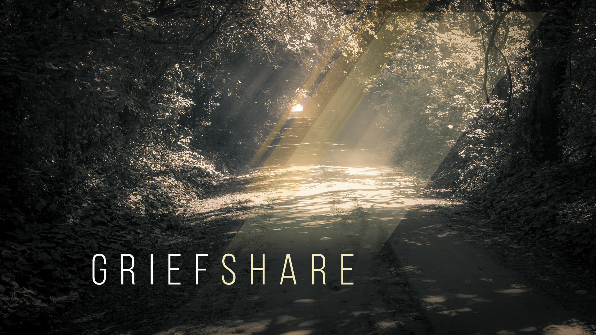 GriefShare Support Groups
